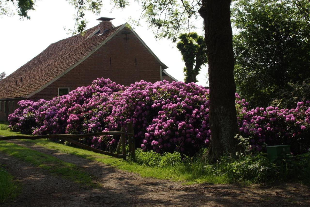 Huis Eedingh Onstwedde Kültér fotó