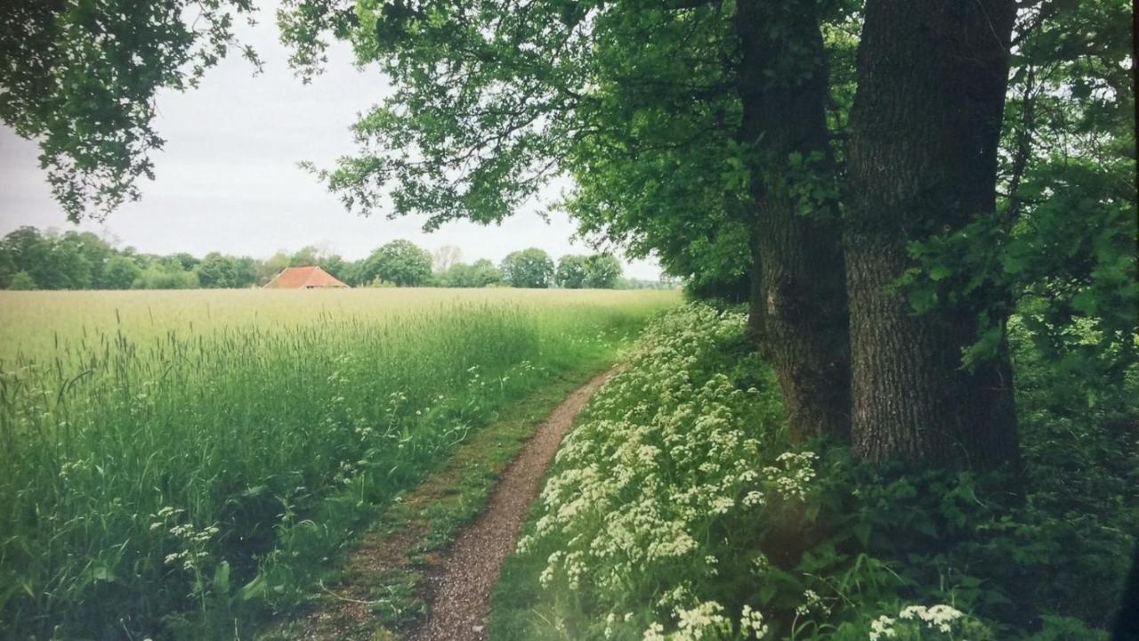 Huis Eedingh Onstwedde Kültér fotó